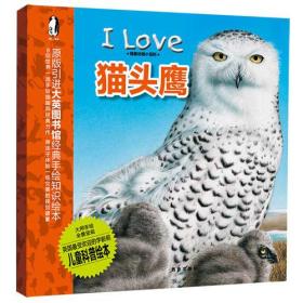 【正版全新】暖.绘本·我爱动物小百科：I Love 猫头鹰