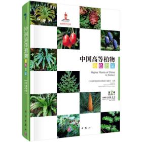 中国高等植物彩色图鉴 第2卷 蕨类植物—裸子植物