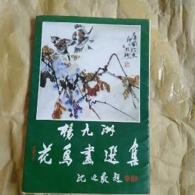 杨九洲花鸟画选集