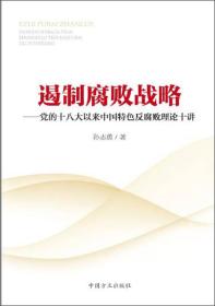 遏制腐败战略--党的十八大以来政府特色 反腐理论十讲