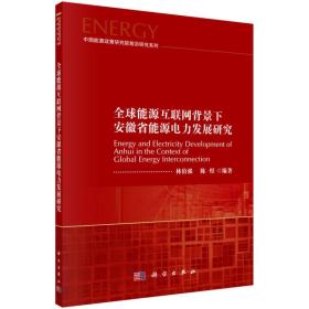 全球能源互联网背景下安徽省能源电力发展研究