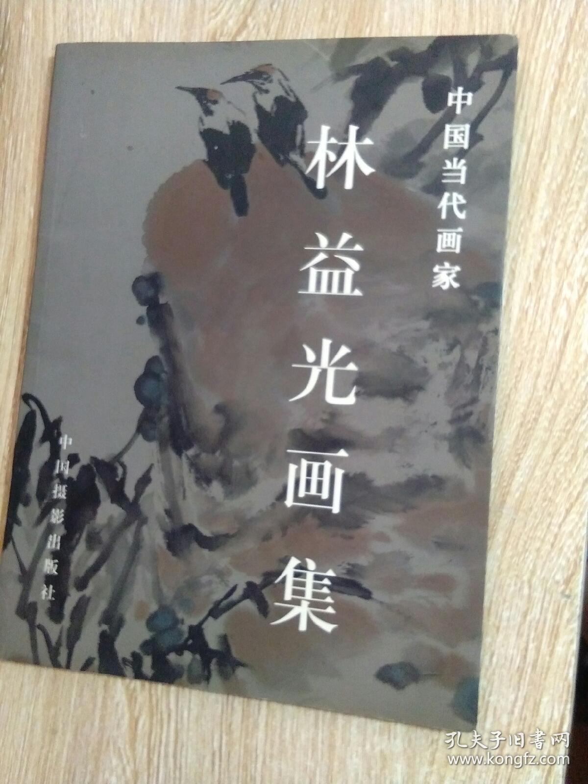 中國當(dāng)代畫家 林益光畫集 著名林益光畫家簽名本