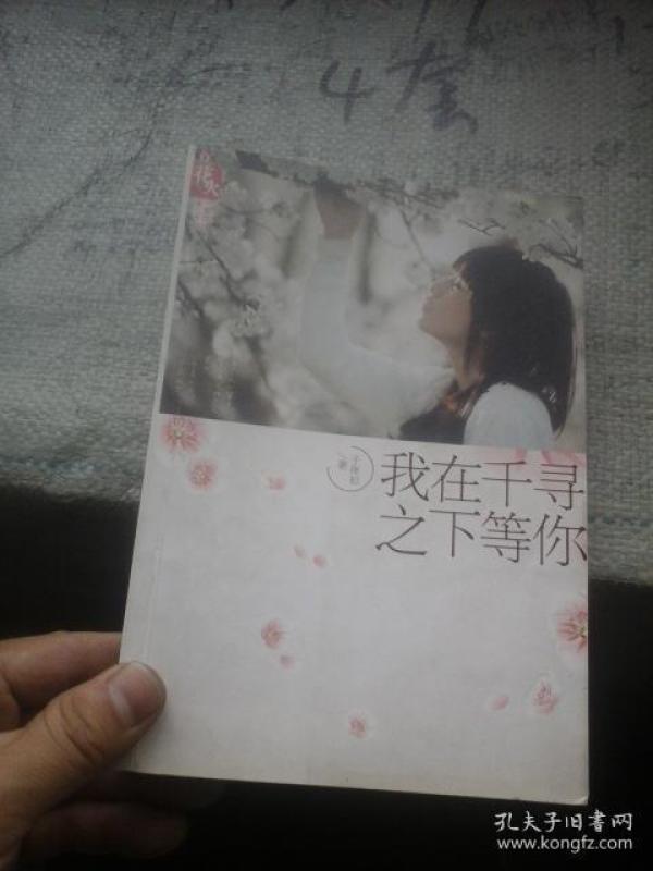 我在千寻之下等你