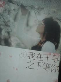 我在千寻之下等你