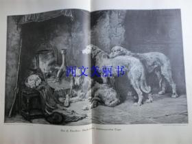 【现货 包邮】1900年巨幅木刻版画《猎犬在忙碌了一天之后》（Nach einem anstrengenden Tage）尺寸约56*41厘米  （货号 18022）