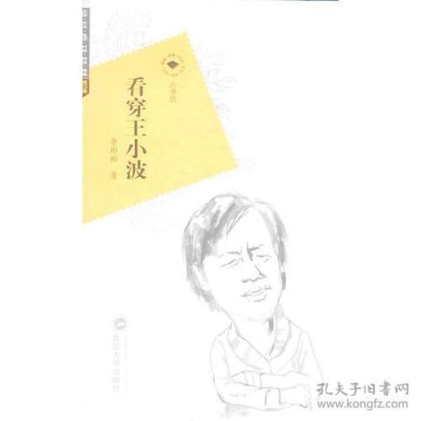 看穿王小波 曹彬彬 武汉大学出版社 9787307110335