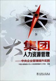 大集团人力资源管理  中央企业管理提升实践