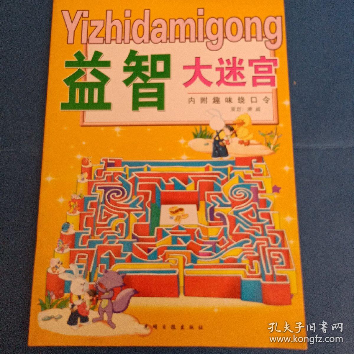 益智大迷宫