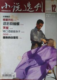 小说选刊2006年第12期（黄书敏中篇《远去的蝴蝶》谈歌中篇《核磁共振》曹征路中篇《天堂》等）