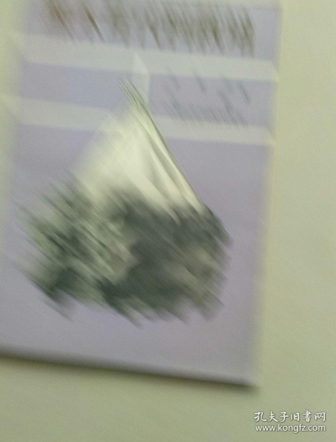 黑木耳代料栽培