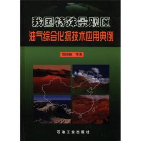 我国特殊景观区油气综合化探技术应用典例