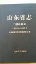 山东省志广播电视志【1991-2005】精装16开本