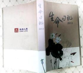 生命日记2013