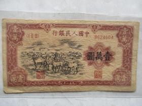 人民币一万元牧马
