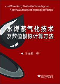 【正版】水煤浆气化技术及数值模拟计算方法