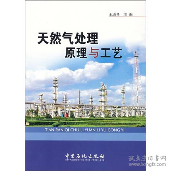天然气处理原理与工艺