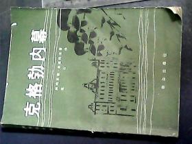 克格勃内幕:克格勃第三局一位军官的揭露