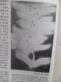 美术插页马树林国画《鹅鹅鹅》马鸿增《中国画的现代感与创新思潮》