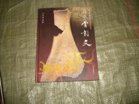 骨刻文发现与研究丛书---昌乐骨刻文（精装本）