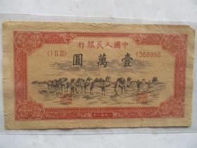 人民币一万元骆驼队2