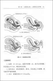 产科护士实习手册