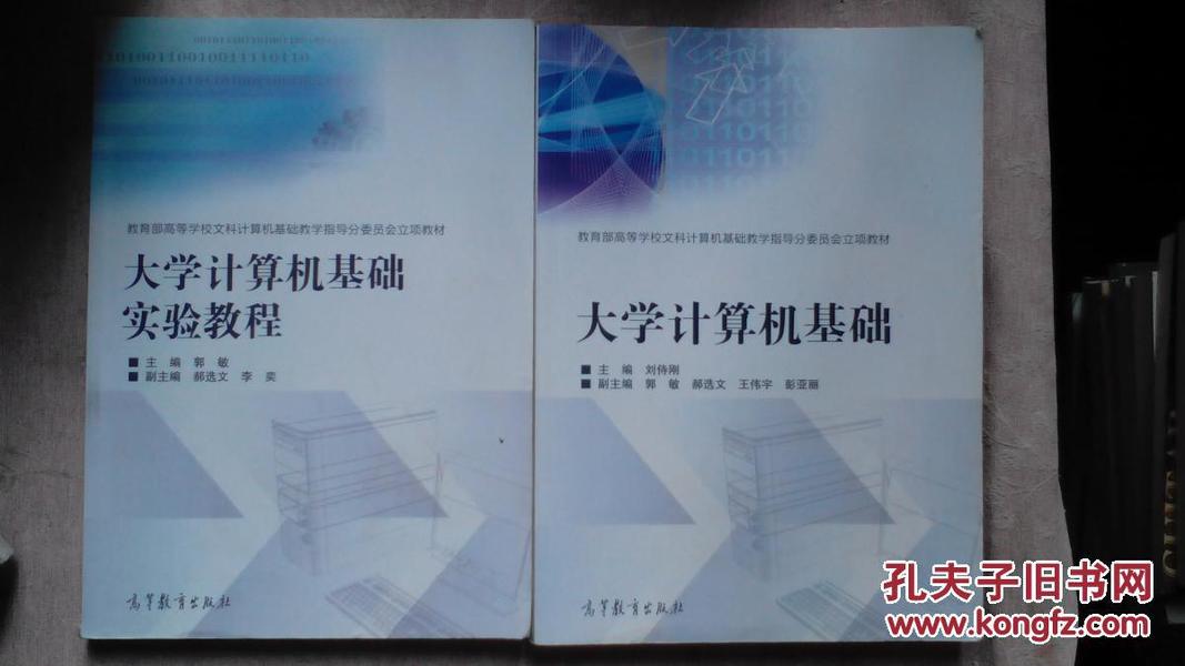 包邮 大学计算机基础 大学计算机基础实验教程 两本合售 教育部高等学校文科计算机基础教学指导分委员会立项教材