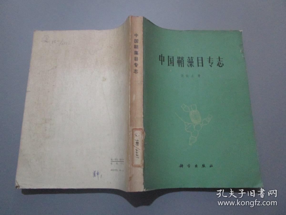 中国鞘藻目专志