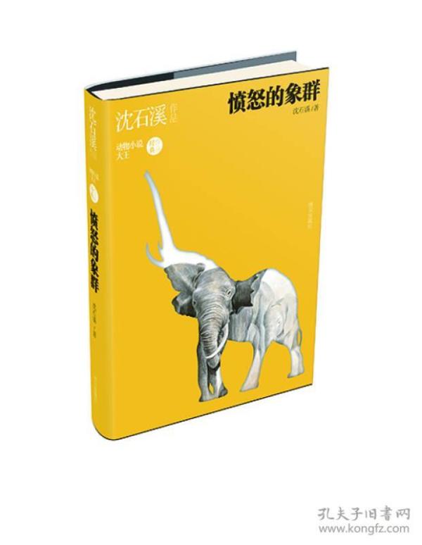 沈石溪作品-愤怒的象群