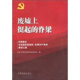 废墟上挺起的脊梁：抗震救灾先进基层党组织、优秀共产党员事迹汇编