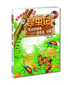 （彩图版）最美的昆虫科学馆昆虫记：毛虫的故事-松毛虫、叶甲