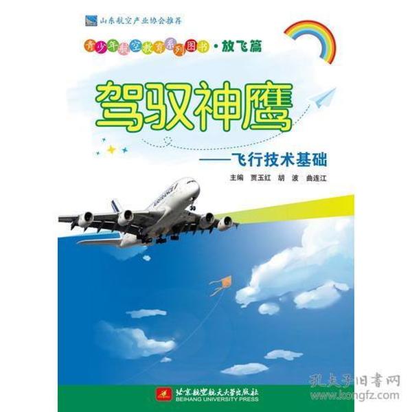 驾驭神鹰——飞行技术基础（青少年航空教育系列图书·放飞篇）