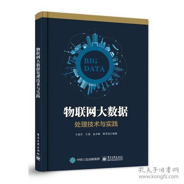 物联网大数据处理技术与实践 [王桂玲, 等编著]