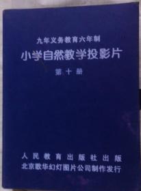 老幻灯片九年义务教育六年制自然教学投影片第十册.精美画面共30幅.