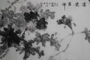 河北省美协会协会会员杨老师纯手绘四尺墨牡丹