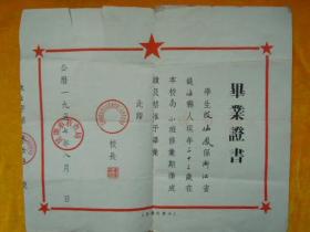 1957年小学毕业证书