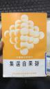 碧果自選集