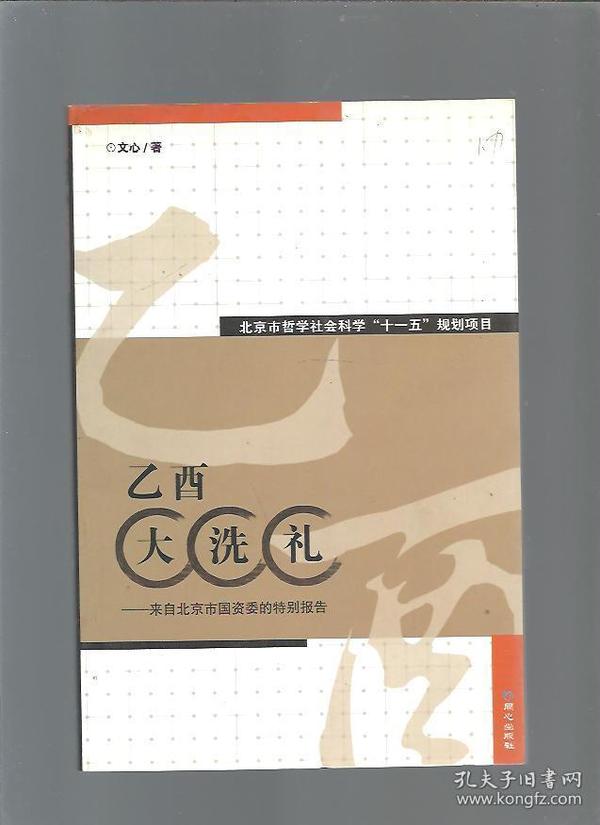 乙酉大洗礼/文心著/2006年/九品/