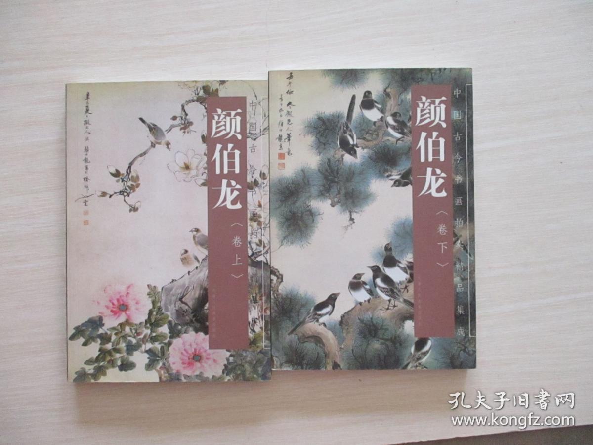 点击查看原图 中国古今书画拍卖精品集成:颜伯龙  上下册!原版书!  233