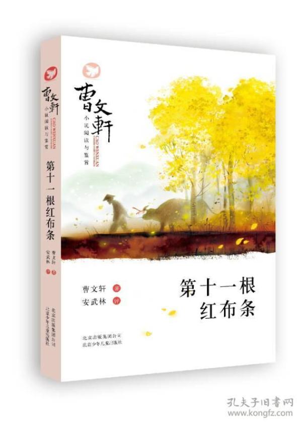 曹文轩小说阅读与鉴赏：第十一根红布条