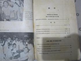 中国共产主义青年团第九次全国代表大会文献