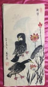 国画426相守