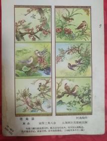 1957年年画缩样  花鸟屏