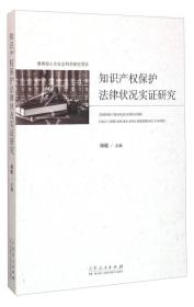 知识产权保护法律状况实证研究