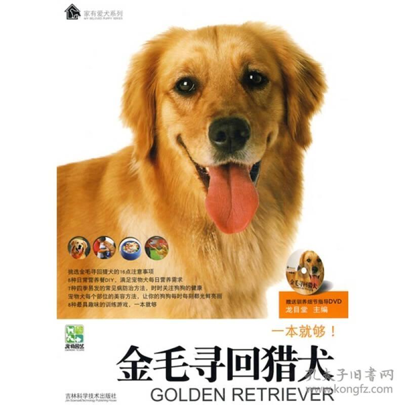 金毛寻回猎犬