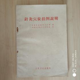 针灸穴位挂图说明