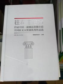 往左往右（首届中国·潇湘法治微小说全国征文大奖赛优秀作品选）