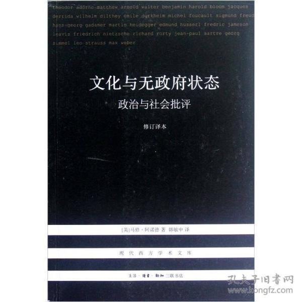 文化与无政府状态：政治与社会批评