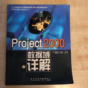 Project 2000数据域详解