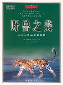 野兽之美:世界野外摄影比赛大奖作品,全彩插图纸 纳塔莉安吉尔 时事出版社