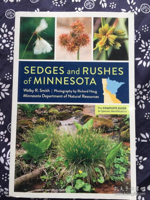 SEDGES and RUSHES of MINNESOTA ...[I1-3-4]